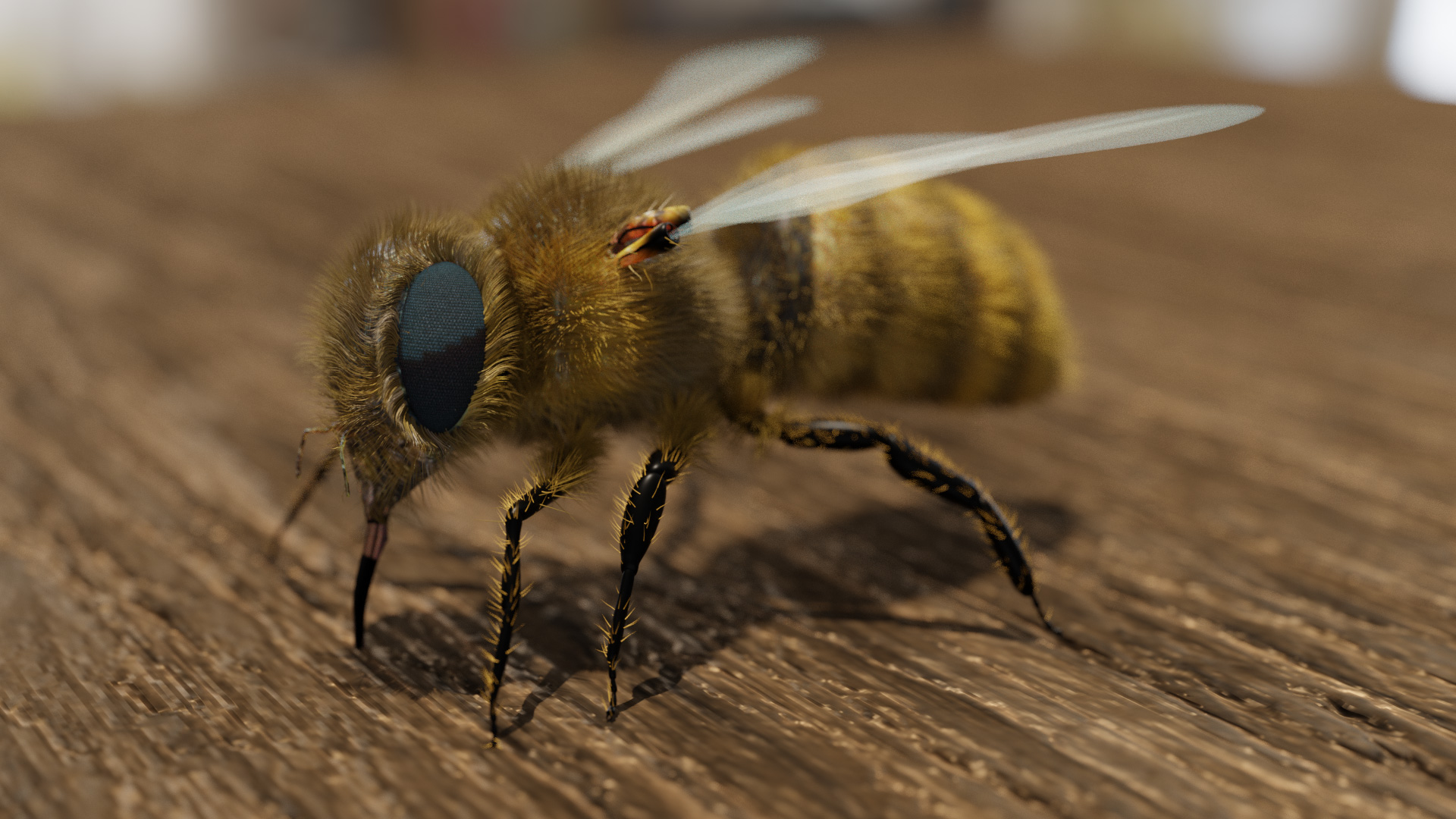 Abeille Full HD